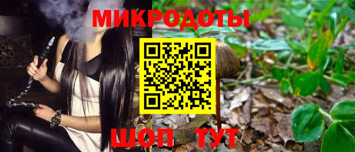 Галлюциногенные грибы GOLDEN TEACHER Якутск